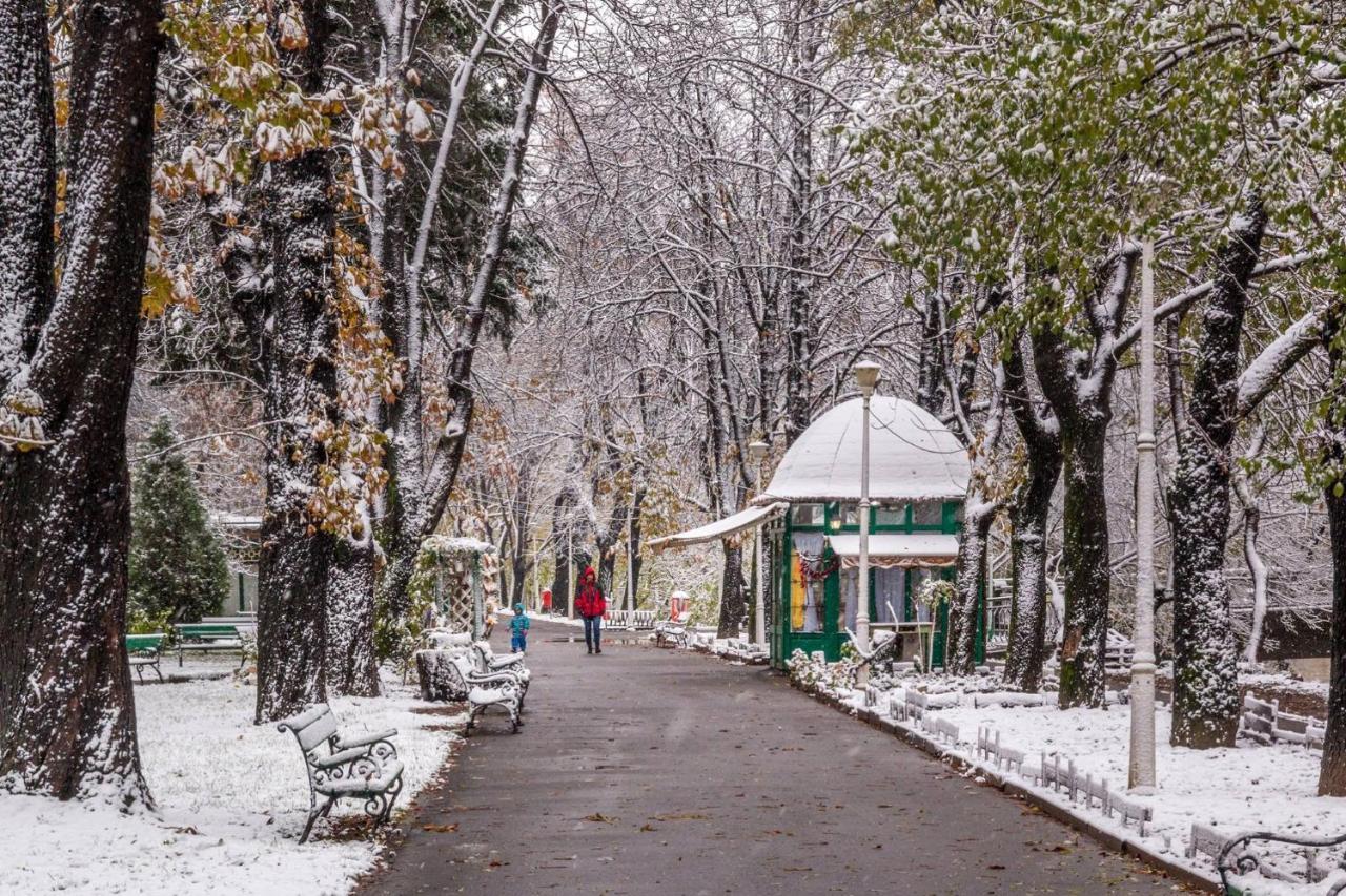 Cristi's Rooms - Pensiune Oradea Bagian luar foto